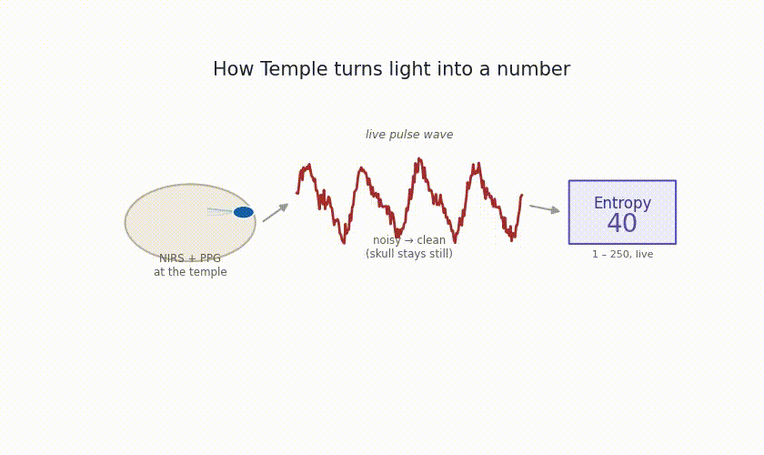 Temple’s “Entropy” Biomarker: Real Breakthrough or Beautiful Marketing?