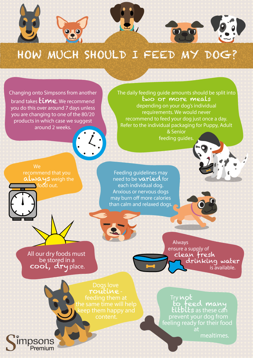 How Much Dry Food Should I Feed My Puppy