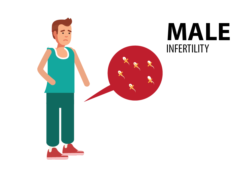 MALE INFERTILITY. The cause of infertility may be… by panchkarma27