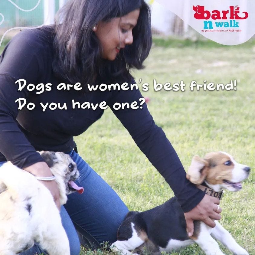 dog kennels in delhi barkn walk Medium