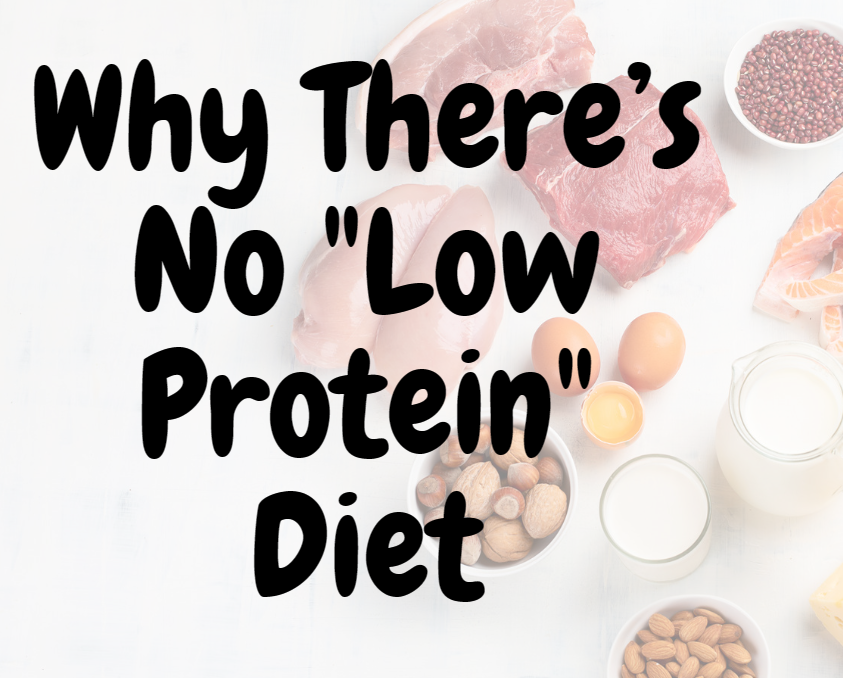 Why There’s No “Low Protein” Diet by Appliedfitnessinc Jan, 2024