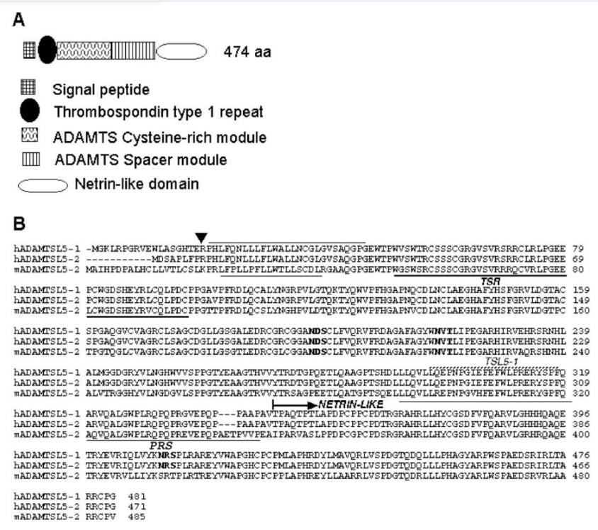 (Data source: Bader HL, et al. Matrix Biol. 2013)