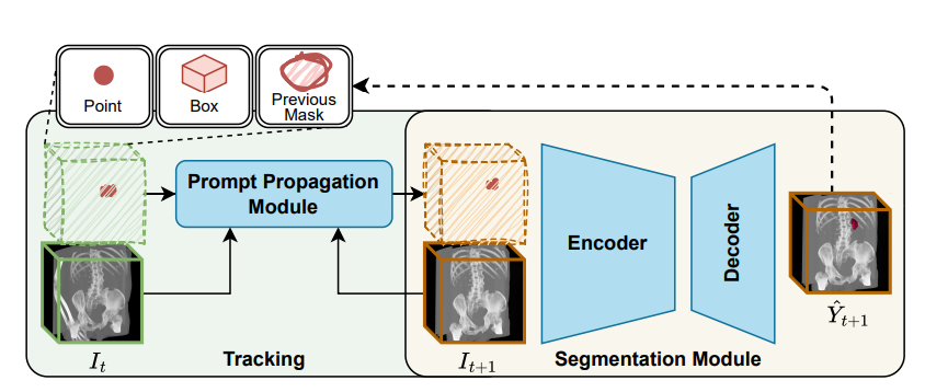 pic from paper LesionLocator: Zero-Shot Universal Tumor Segmentation and Tracking in 3D Whole-Body Imaging