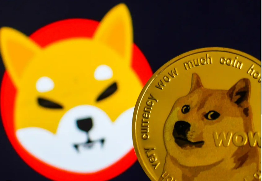 Dogecoin and Shiba Inu: A Tale of Two Memecoins and Their Price Journey ...