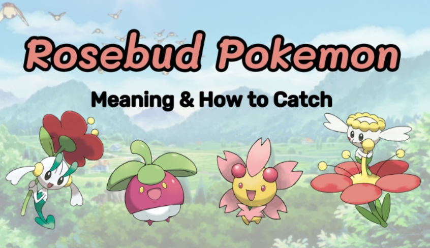 Rosebud Pokemon: What Is It