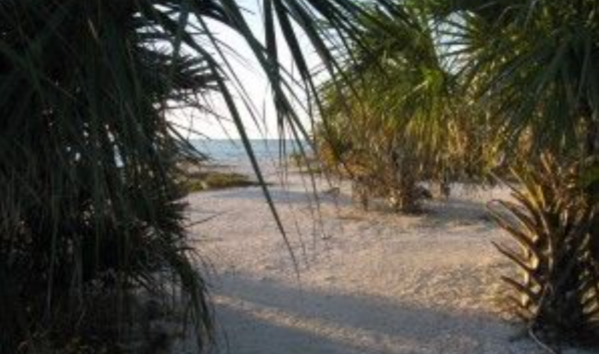 How much does it cost to get into Honeymoon Island State Park? by