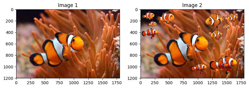 Similarity Ratio: 98.85%