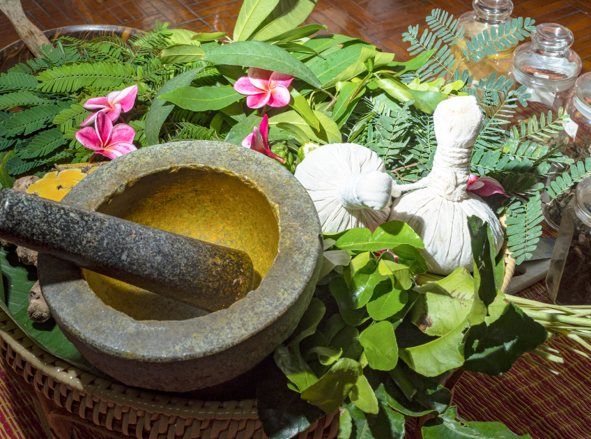 Best Ayurveda Course at Haritha Ayurveda School & Panchakarma Center