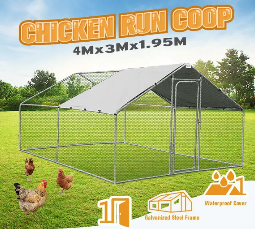 Do I need a Chicken Run. So you have bought your InTheMarket.ie… by