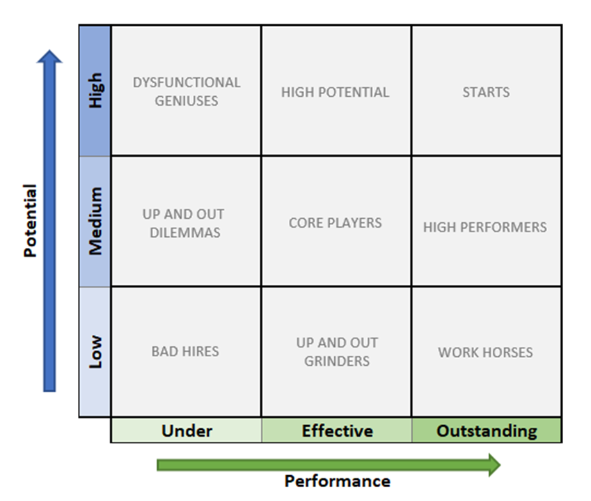 HR’s Secret Weapon: The 9-Box Matrix Unveiled | by GITA ISWARA | Medium