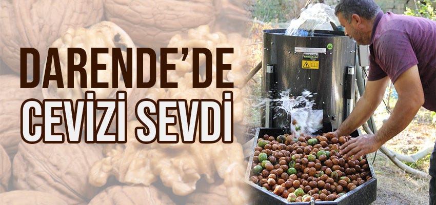 Darende’de Cevizi Sevdi