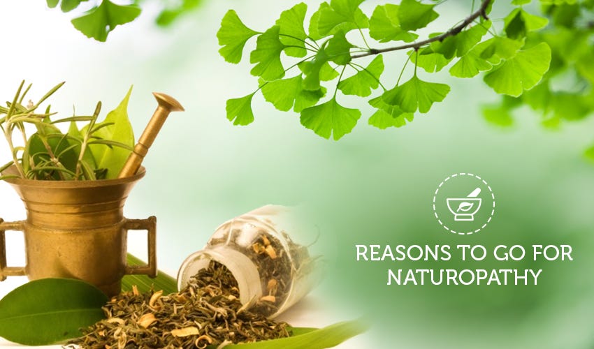 натуропат. натуропат. натуропатия. лекарства из растений. травяные лекарства.