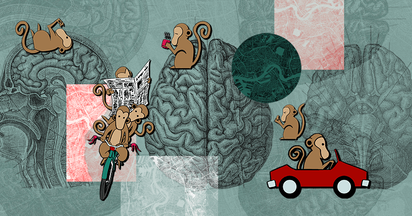 Quieting the Monkey Mind and Embracing the Higher Mind | by The Fifth ...
