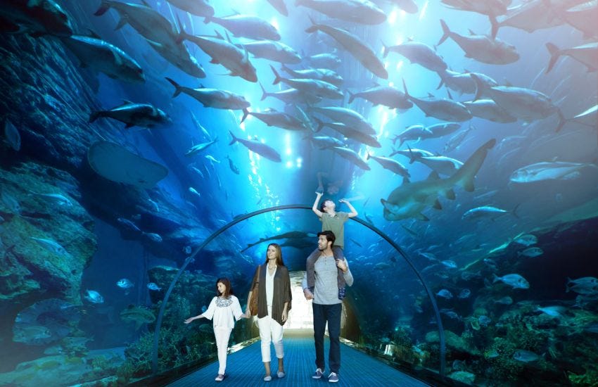 Underwater Zoo & Dubai Aquarium - All You Need to Know About | by Jasika |  Medium