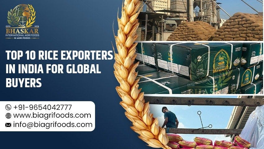Top 10 Rice Exporters in India for Global Buyers