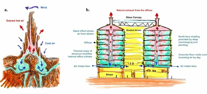 Integrasi Biomimikri Sarang Rayap dalam Desain Berkelanjutan