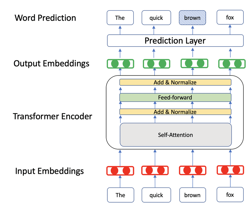 The Science Behind Pre-trained Models: How BERT Powers Modern NLP | by ...