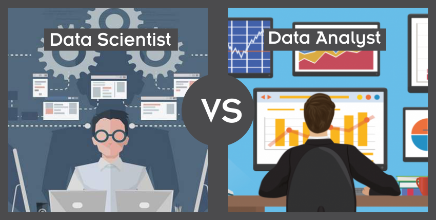 How do Data Analysts differ from Data Scientists?