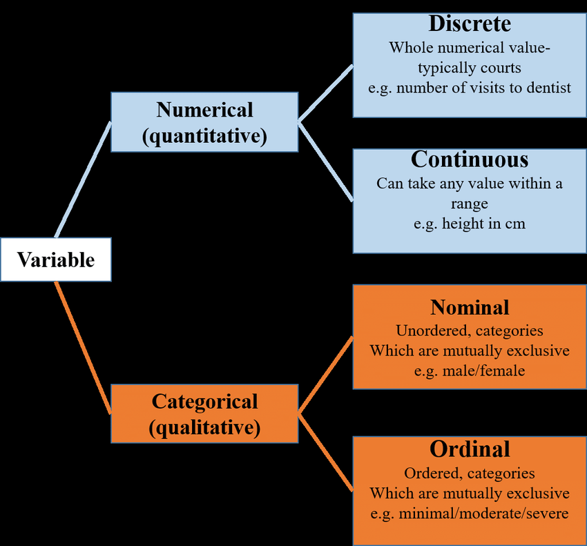 Section 1.2: Variables and Types of Data | by Melih Bedirhan Calis ...