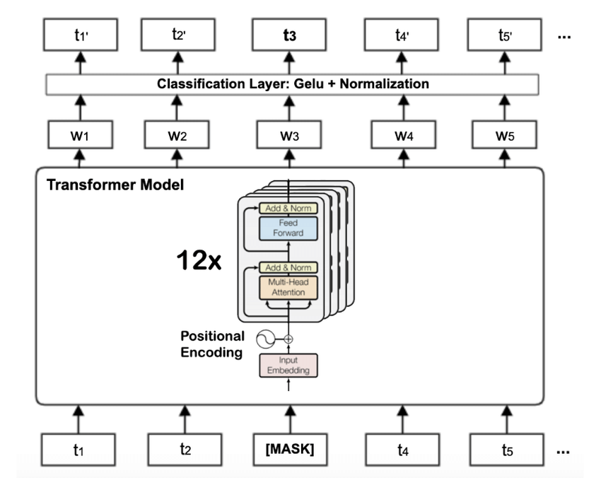 Pretraining of Deep Bidirectional Transformers for Language