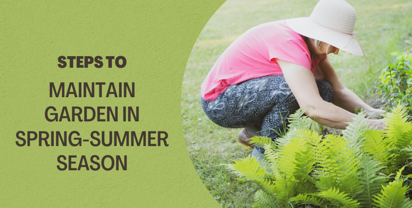 How To Maintain Your Garden In Spring-Summer Season | by Chirs Smith's ...