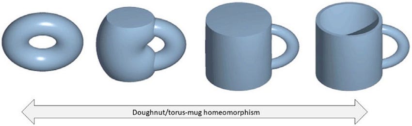 Why a Coffee Cup Is the Same as a Donut (Mathematically) | by Andrew  Muratov | Medium