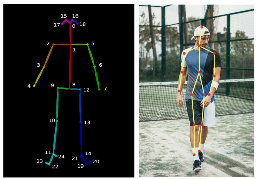 A Beginner's Guide to YOLO Pose Detection