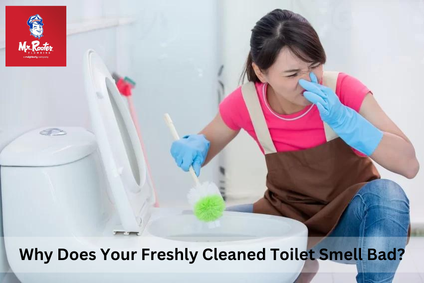 Why Does Your Freshly Cleaned Toilet Smell Bad? by Mr. Rooter Plumbing of Cleveland Apr