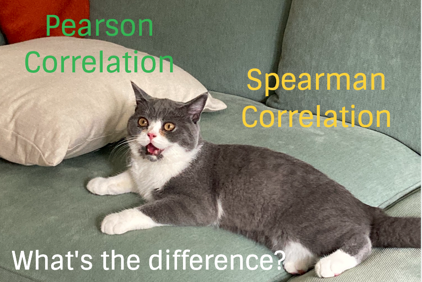 Pearson vs. Spearman Correlation What’s the difference? by Anyi Guo