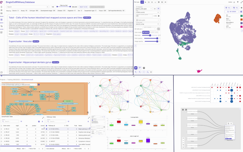 C-DIAM Multi-Omics Studio: A Comprehensive Platform for Multi Omics Data
