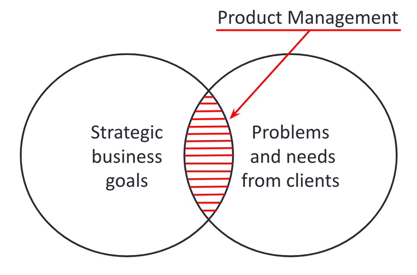 What is digital product management? by Joca Torres Medium