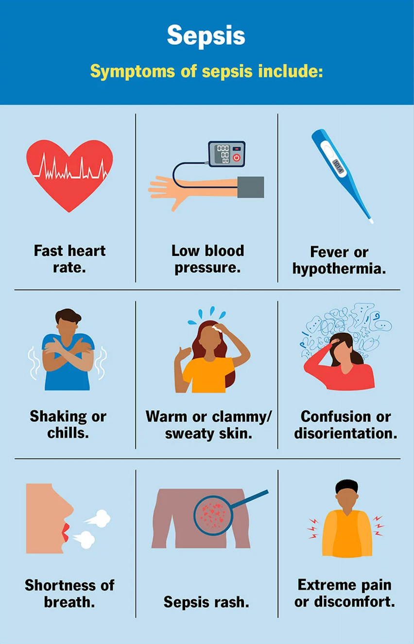 Sepsis Data Analysis. Hello everyone, | by Poornima Sushamakumari | Medium