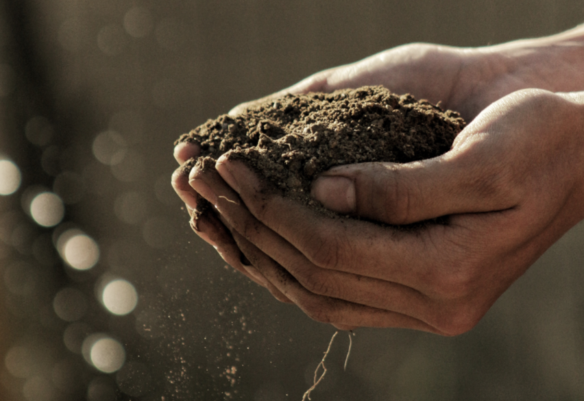 Diving Deeper Grid Sampling vs. Management Zones Sampling by Eden