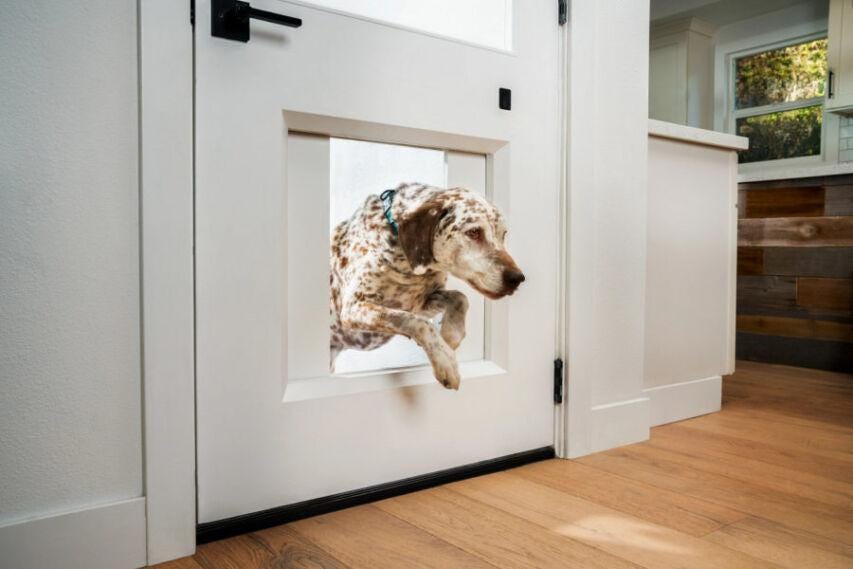 Electronic Dog Doors Market: Smart Pet Access Solutions Reshaping Modern Pet Care