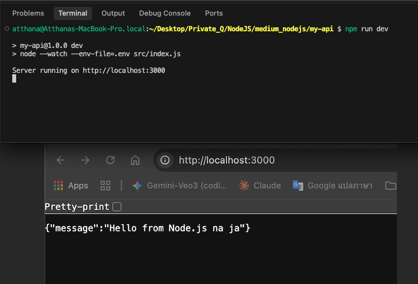 npm run dev