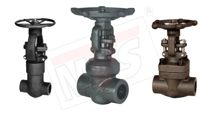 Gate Valve Exporter in Ahmedabad — MVS by Mayur Valves Jun, 2024