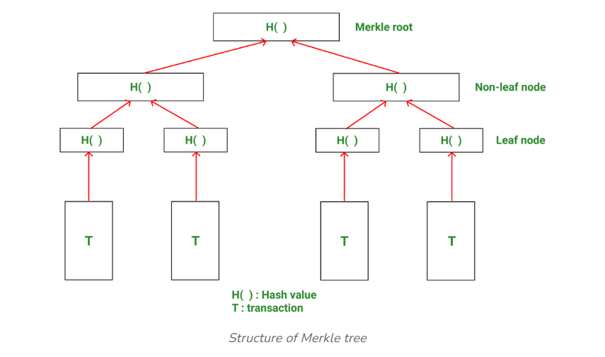Demystifying Blockchain: The Role of Merkle Trees in Data Integrity ...