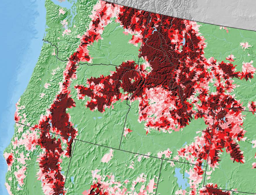 The beauty of decay: Escaping the boundaries of our favorite conservation strategy