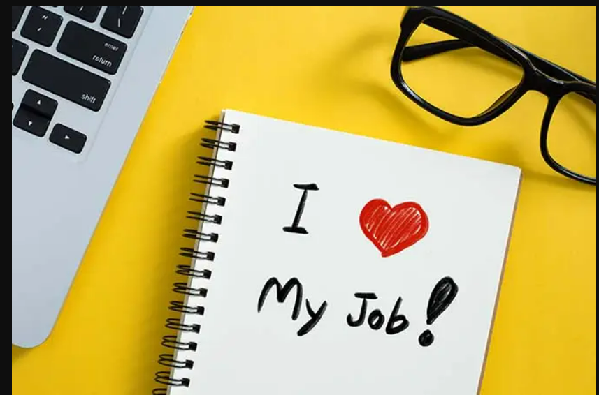 What influences your Job Satisfaction? | by Carmen Ilie | Medium