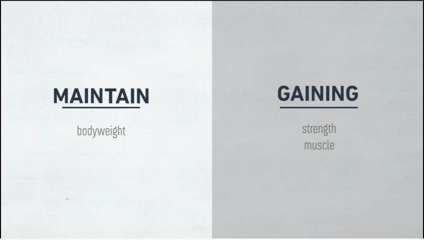 Explain Bulking and Cutting 101: Understanding the Basics of Muscle  Building and Weight Loss Like I'm 5 Years Old