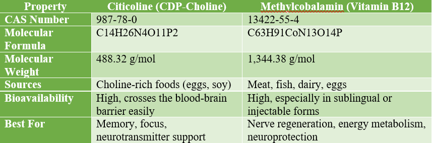 Citicoline VS Methylcobalamin: Cognitive Performance and Nervous System Support