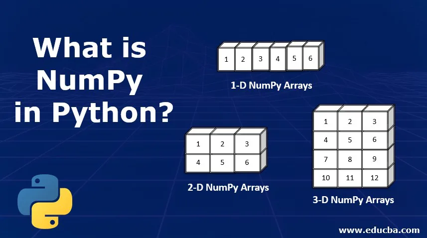 NumPy: An Essential Tool for Data Science and AI | by Abdulrahman Yusuf ...