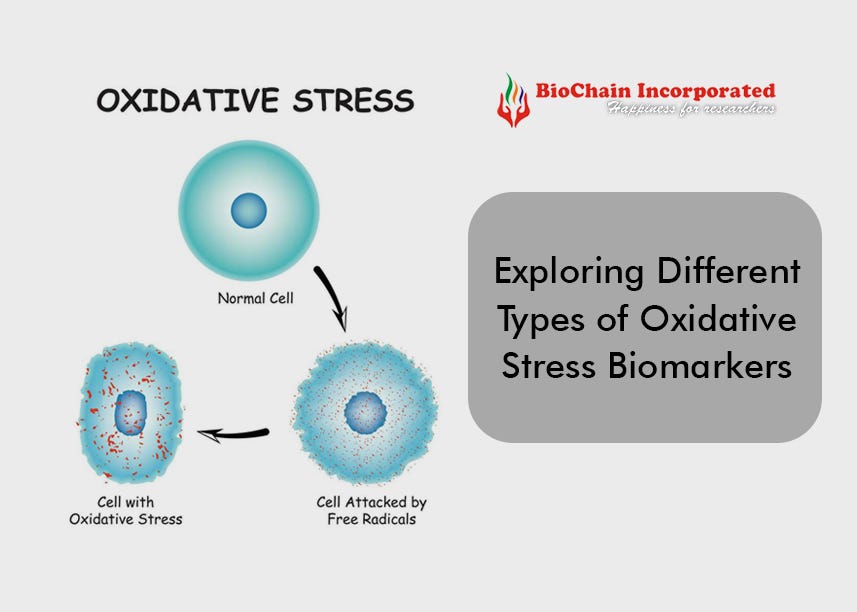 Exploring Different Types of Oxidative Stress Biomarkers | by ...
