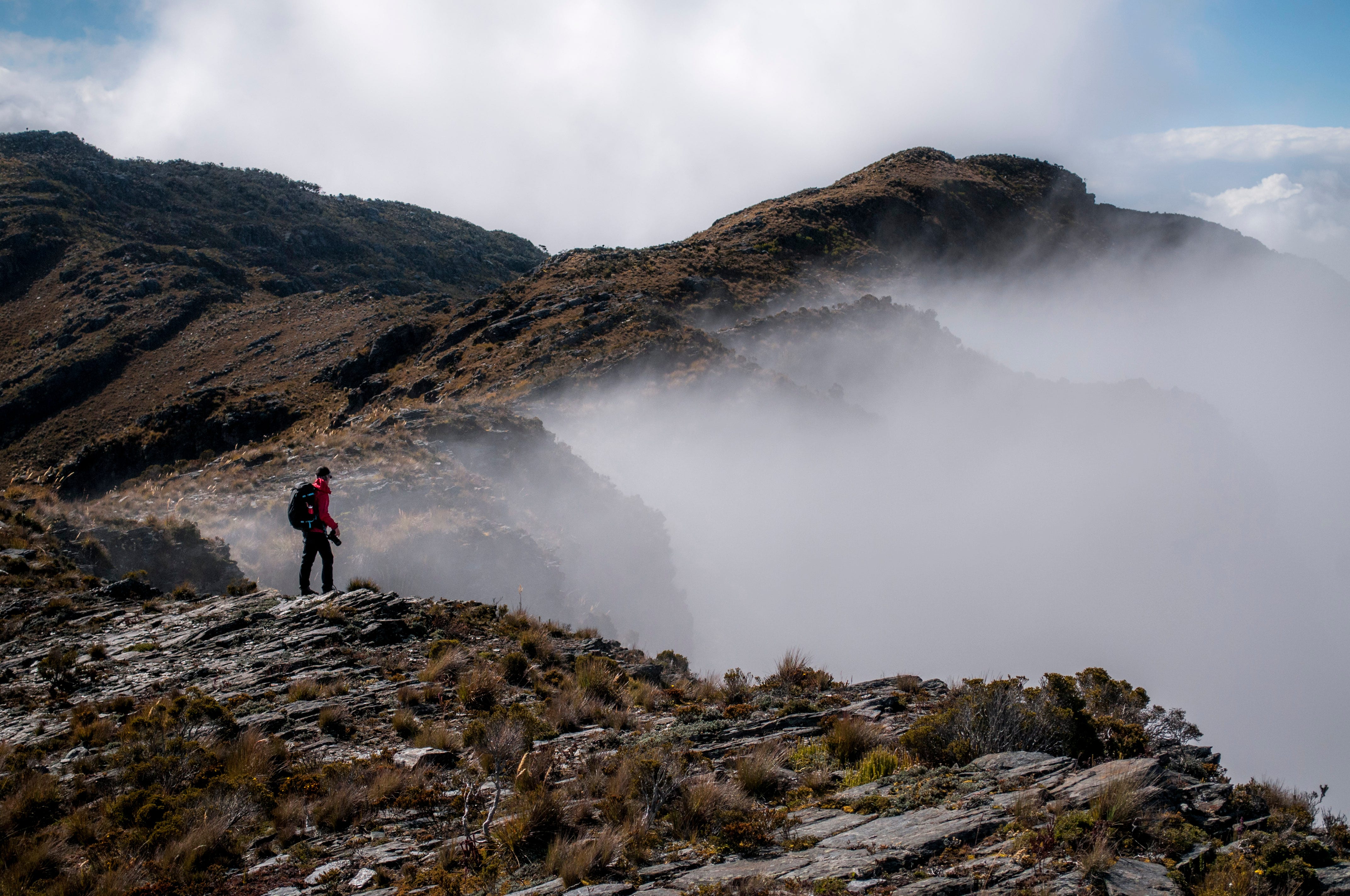 Páramo de Santurbán. Hacia las nubes | by Juan José Escobar Gil | Camera  Lucida