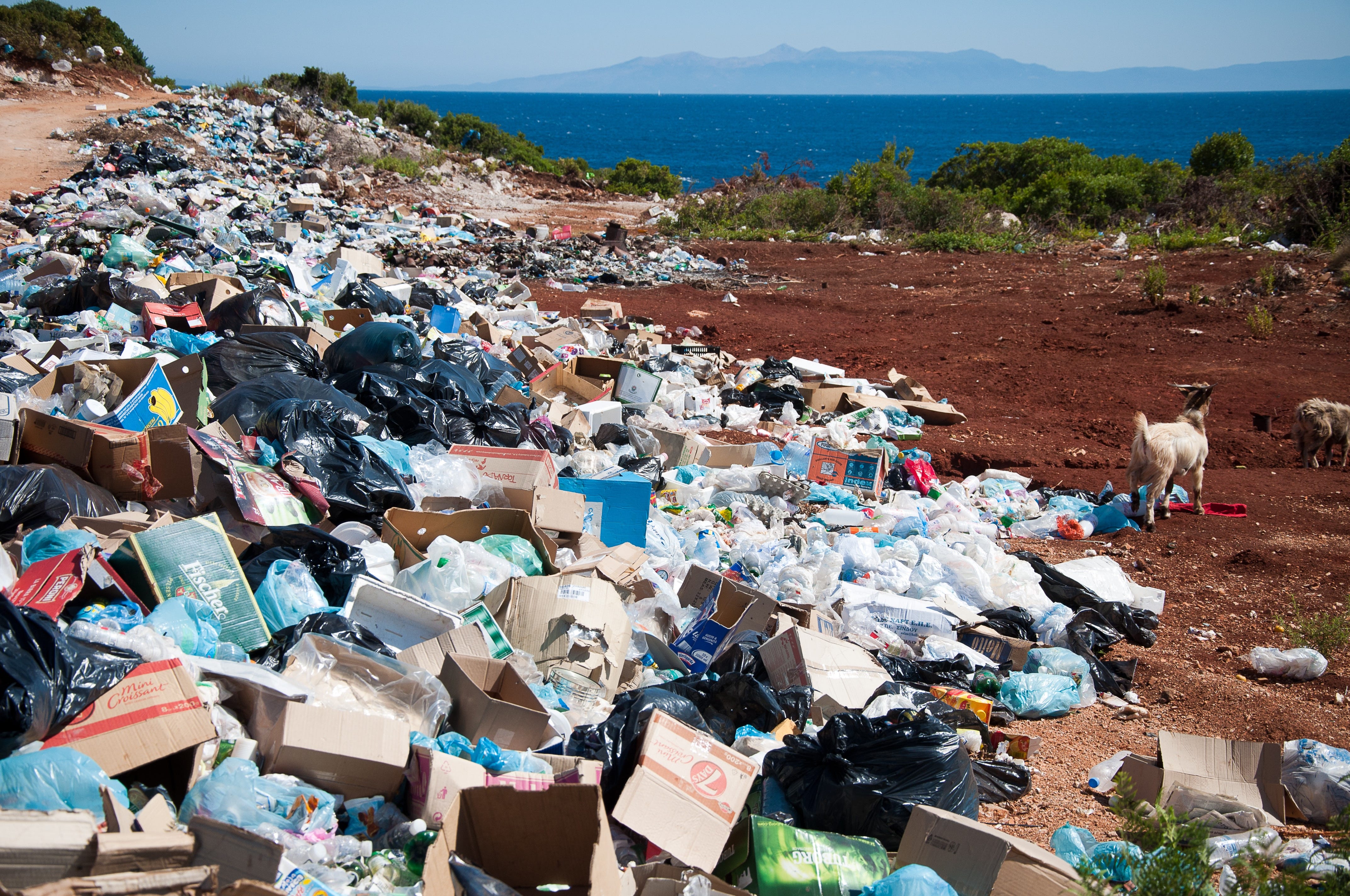 To-go coffee cups shed trillions of plastic particles under normal use