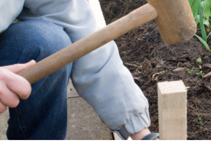 Put YOUR Stake In The Ground. “Every champion was once a contender