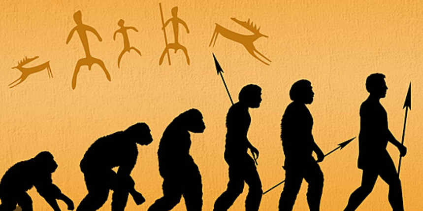 Advanced Evolution: Speciation and Hybrid Reinforcement Learning | by ...