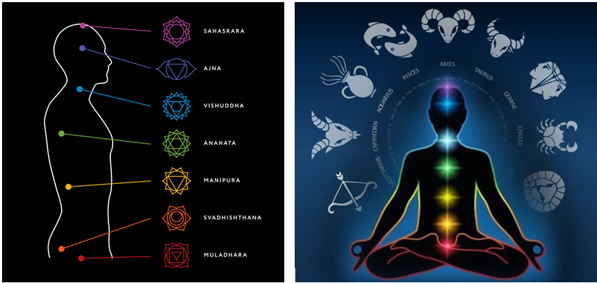 Chakra Colors: Meaning, Symbolism, and Location • Yoga Basics