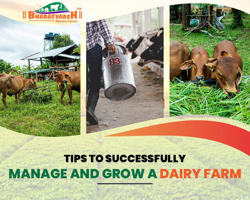 TIPS TO SUCCESSFULLY MANAGE AND GROW A DAIRY FARM | By Bharatvarsh ...