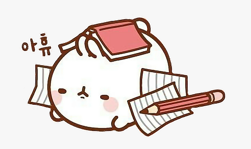 Project 3 Redesign an App (Study Bunny) by Sam Sepúlveda Salazar